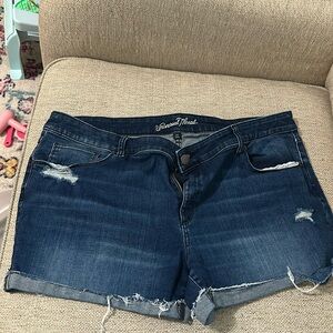 Univeral thread distressed shorts